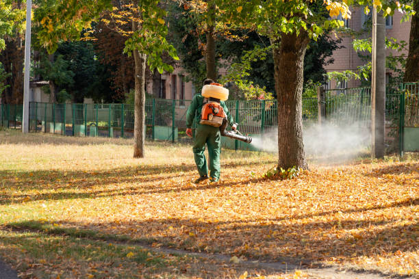 Best Pest Control Near Me in Wyboo, SC